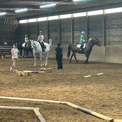 Horses indoor obstacle