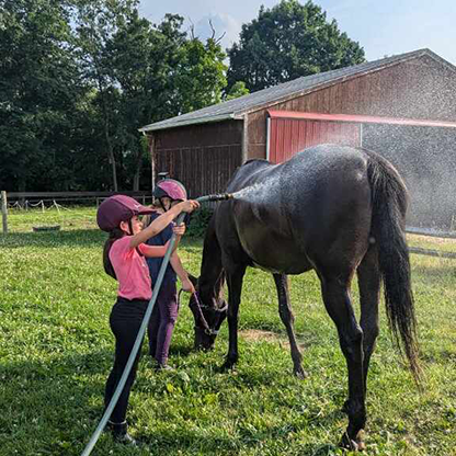 Two kids washing a horse